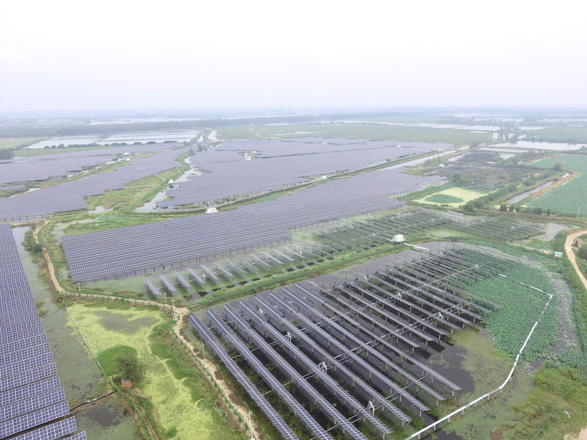 凯发一触即发科技江苏扬州宝应光伏发电应用领跑基地2号100兆瓦项目